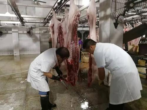 清溪加强国庆期间生猪屠宰场的畜产品质量安全监管