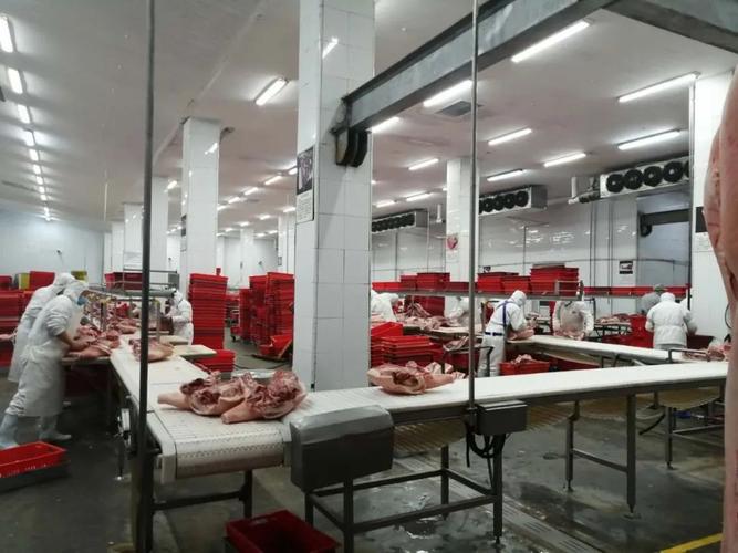 二商肉食集团再增两家全国生猪屠宰标准化示范厂