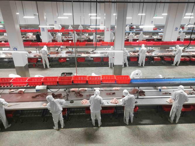枣庄山亭汇融食品打造全省第二大单体生猪屠宰加工企业